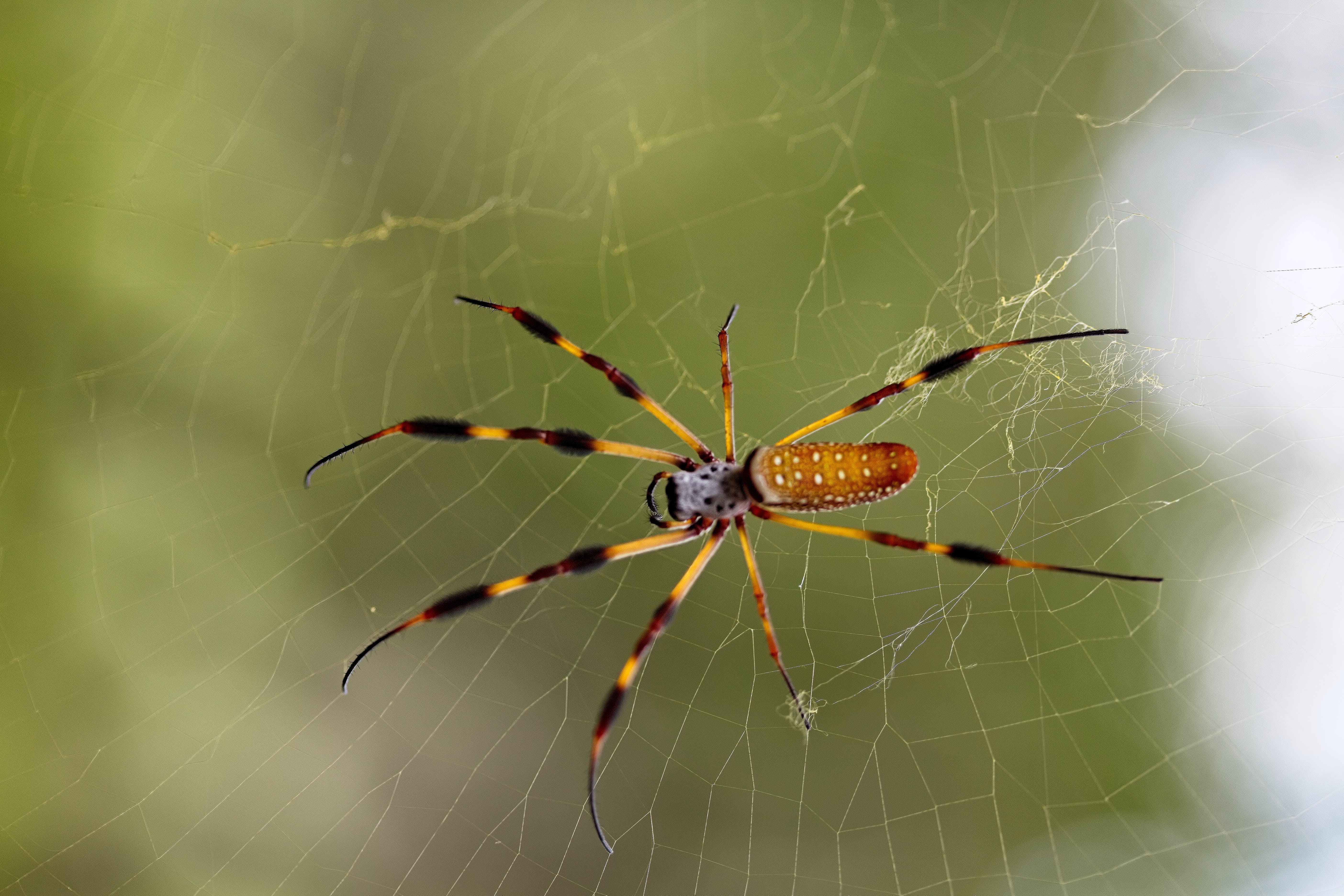 Pexels Lawrence Schaefer 14304432 1