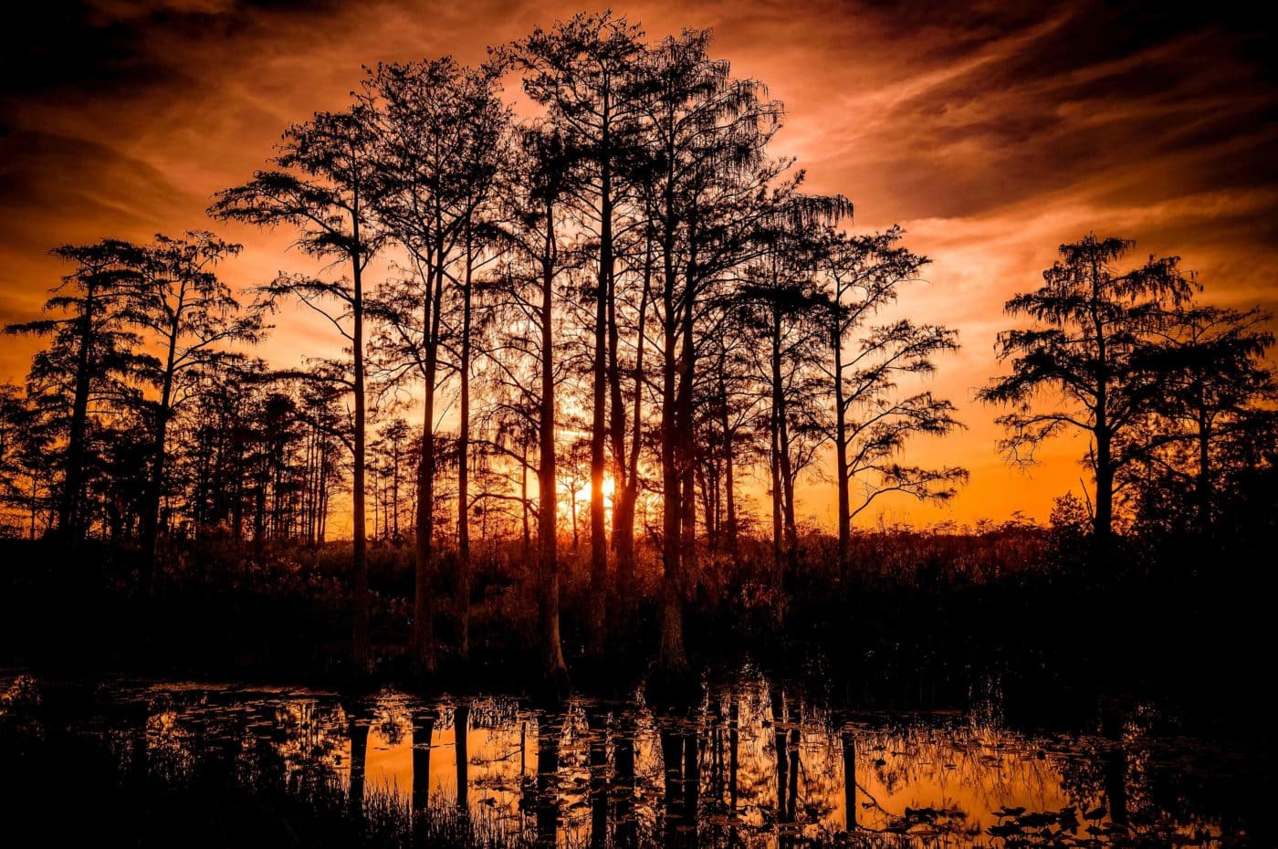 Reflections of a sunset in the Florida Everglades