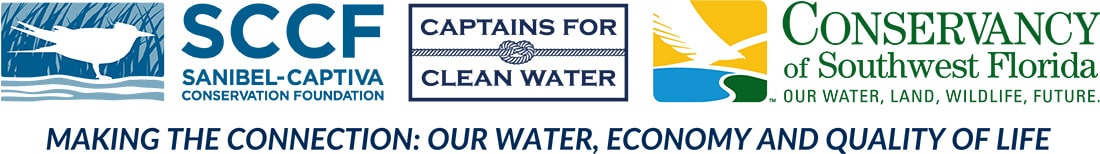 WQ Study Tri Party Logo 1 SM