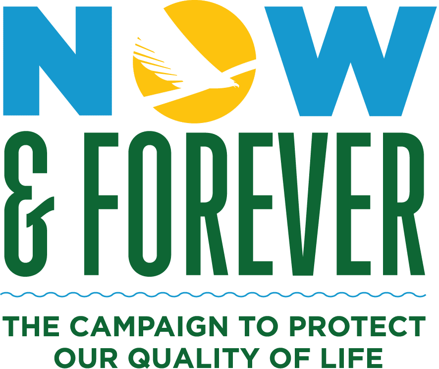 CSWF NowAndForever Logo Color
